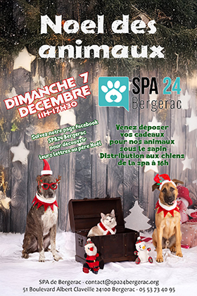 Noel des animaux a la SPA de Bergerac