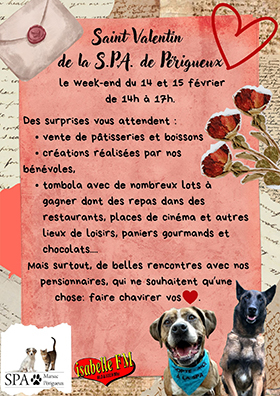 La Saint Valentin des animaux Marsac sur l Isle