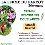 Atelier tisanes Echourgnac