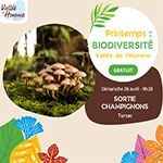 Sortie champignons Tursac