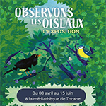 Expo Tocane Saint Apre