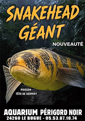 Aquarium Univerland