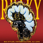 Max Styler