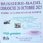 Vide grenier Bussiere Badil